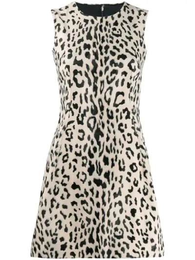 Shop Dolce & Gabbana Animal Print Flared Mini Dress In Neutrals