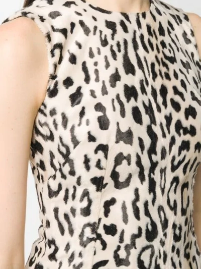 Shop Dolce & Gabbana Animal Print Flared Mini Dress In Neutrals