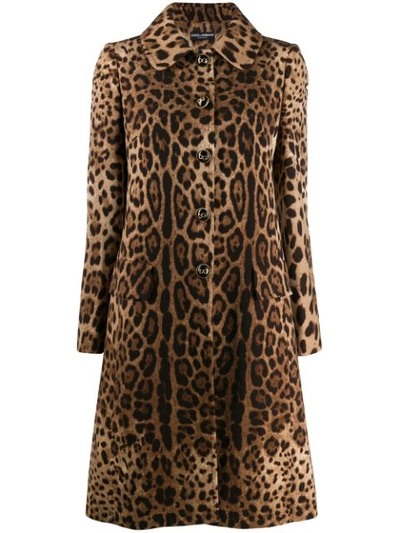 Shop Dolce & Gabbana Leopard Print Coat In Brown