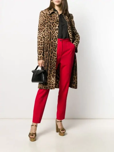 Shop Dolce & Gabbana Leopard Print Coat In Brown