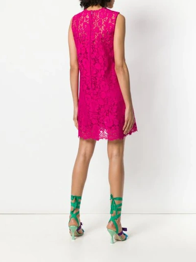 Shop Dolce & Gabbana Lace Shift Dress In Pink