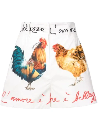 Shop Dolce & Gabbana Rooster Print Shorts - White