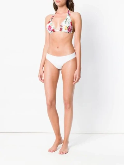 Shop Dolce & Gabbana Floral Print Triangle Bikini Top - Ham62 Multicolour