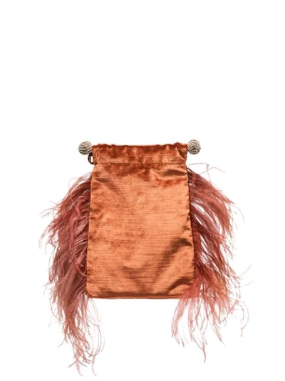 Shop Rosantica Athos Feather Detail Clutch In Brown