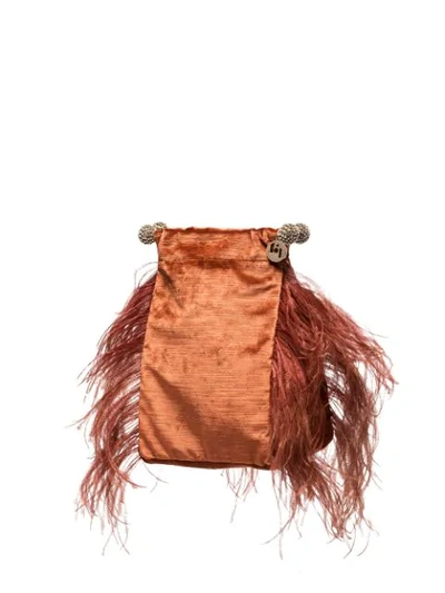 Shop Rosantica Athos Feather Detail Clutch In Brown