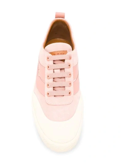 Shop Bally Logo Low-top Sneakers In Pink