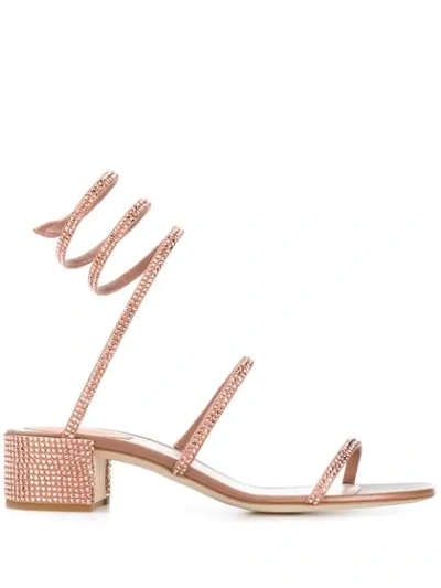 Shop René Caovilla Crystal Embellished Sandals In Pink