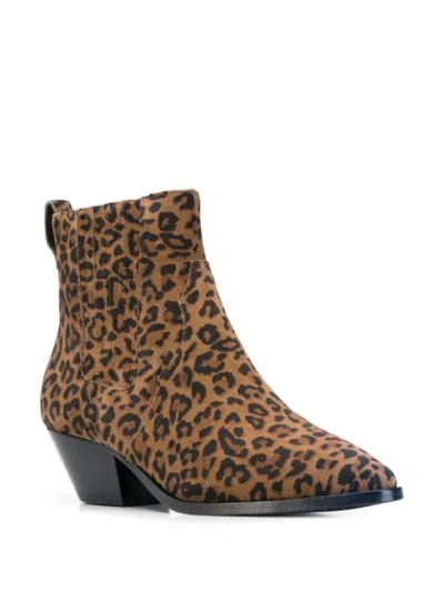 Shop Ash Leopard Print Ankle Boots In Brown