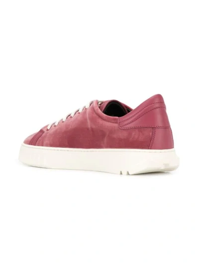Shop Ferragamo Low Top Sneakers In Pink