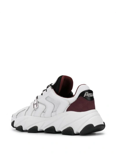 Shop Ash Extreme Sneakers In White