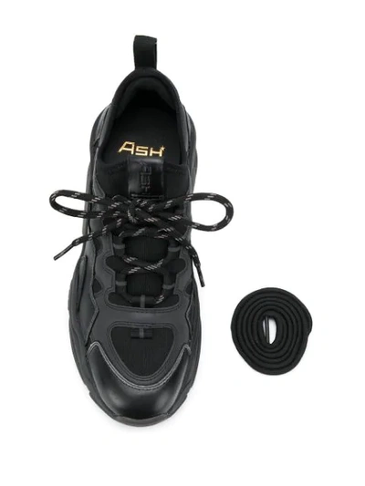 Shop Ash Bird Sneakers In Black
