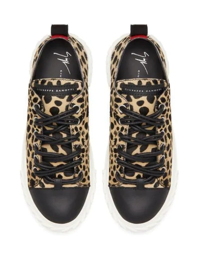 Shop Giuseppe Zanotti Leopard Print Sneakers In Neutrals