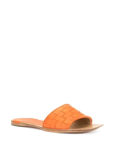 Shop Bottega Veneta Squared Toe Flat Sandals In Orange