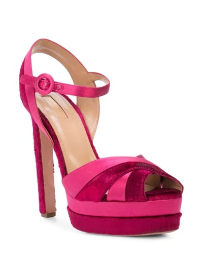 Shop Aquazzura Coquette Platform Sandals In Cabaretpink