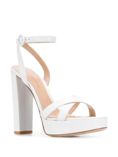 Shop Gianvito Rossi Poppy Platform Sandals In White