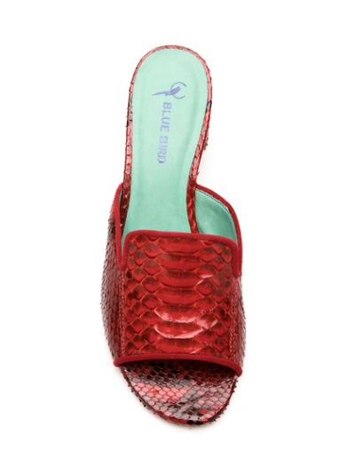 Blue Bird Shoes Python Mules In Red