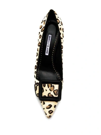 Shop Manolo Blahnik Maysale Leopard Print Pumps In Neutrals