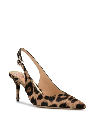 Shop Charlotte Olympia Pointed Leopard Print Pumps In Neutrals