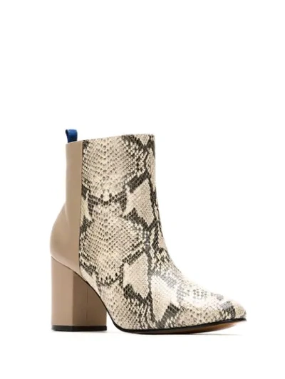 Blue Bird Shoes Snakeskin Effect Duo Boots In Neutrals