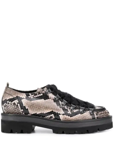 Shop Kennel & Schmenger Snakeskin-effect Brogues In Black