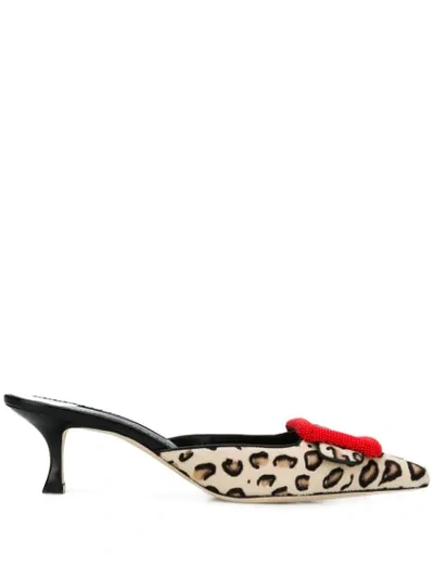 Shop Manolo Blahnik Leopard Print Mules In White