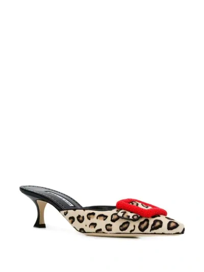 Shop Manolo Blahnik Leopard Print Mules In White