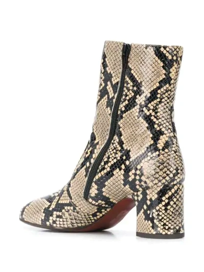 Shop Chie Mihara Nanaylon Snakeskin Boots In Neutrals