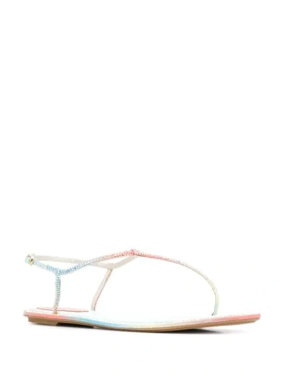 Shop René Caovilla Strapped Sandals In Pink