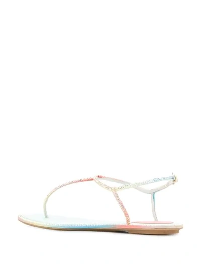 Shop René Caovilla Strapped Sandals In Pink