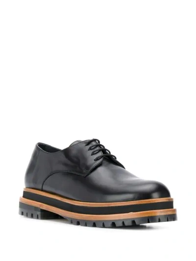 Shop Paloma Barceló Classic Lace-up Brogues In Black