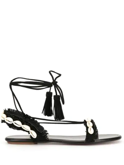 Shop Aquazzura Seashell Embellished Sandals In Black