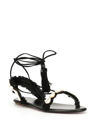 Shop Aquazzura Seashell Embellished Sandals In Black