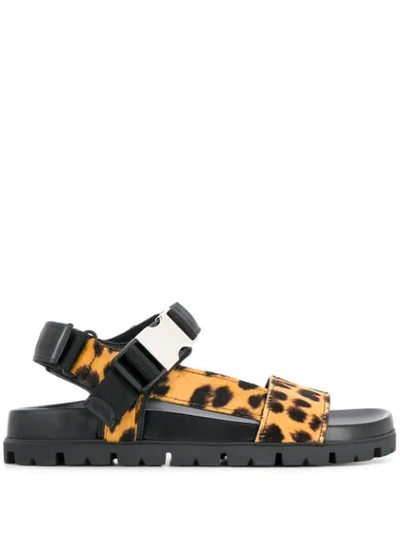 Shop Prada Leopard Print Flatform Sandals In Brown