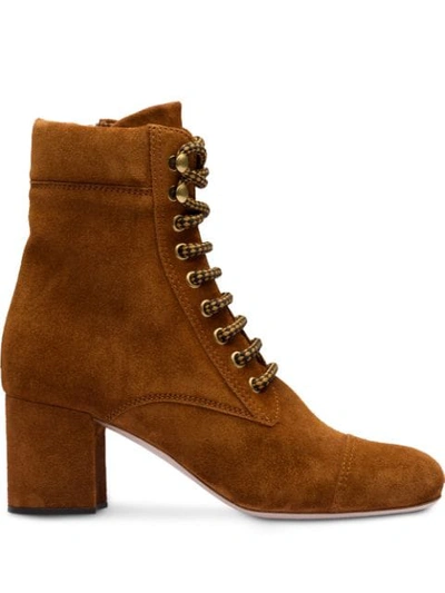 Shop Miu Miu Lace-up Ankle Boots In Brown