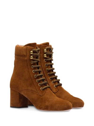 Shop Miu Miu Lace-up Ankle Boots In Brown