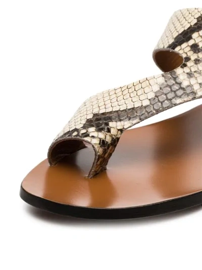 Shop Atp Atelier Roma Snake Print Leather Sandals - Neutrals