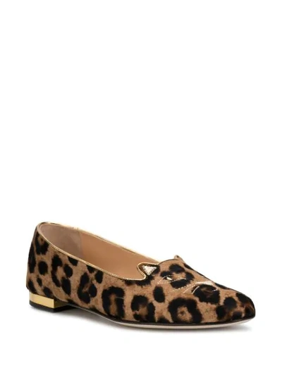 Shop Charlotte Olympia Ballerinas Mit Leopardenmuster In Neutrals