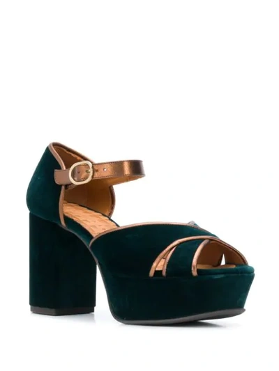 Shop Chie Mihara Two Tone Platform Sandals In Velour Verde Picasso Bronce