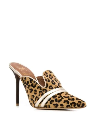 Shop Malone Souliers Hayley Mules In Leopard\platino