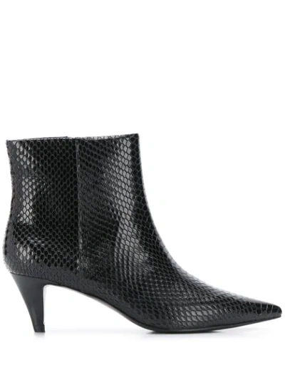 Shop Ash Cameron Ankle Boots In Black