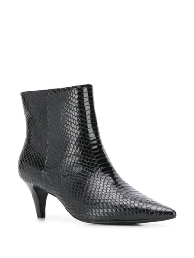 Shop Ash Cameron Ankle Boots In Black