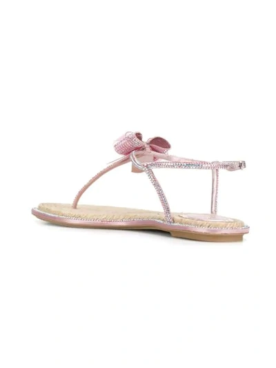 Shop René Caovilla Catavina Flat Sandals In Pink