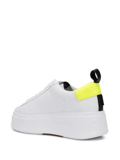 Shop Ash Neon Heel Platform Sneakers In Whte