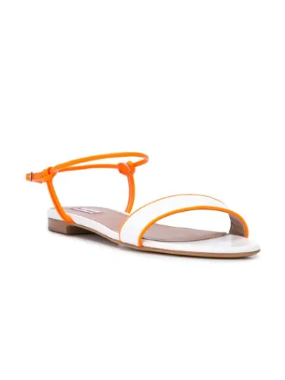 Shop Tabitha Simmons Bungee Flat Sandals In White