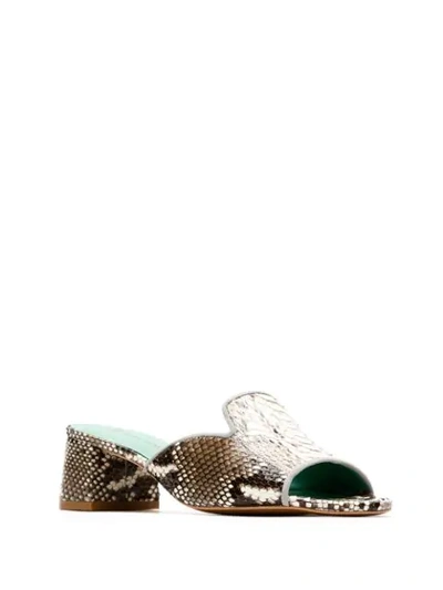 Blue Bird Shoes Python Mules In Multicolour