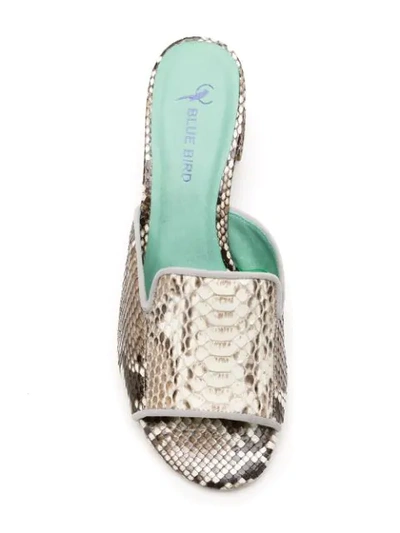Blue Bird Shoes Python Mules In Multicolour
