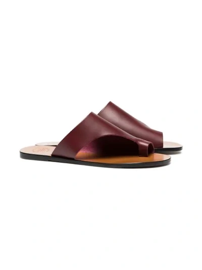 Shop Atp Atelier Burgundy Rosa Leather Flat Sandals In Red