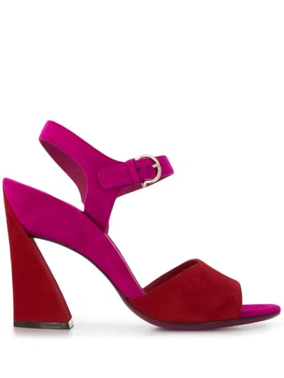 Shop Ferragamo Side Buckle Sandals In Pink