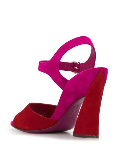 Shop Ferragamo Side Buckle Sandals In Pink