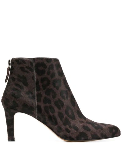 Shop Antonio Barbato Leopard Print Booties In Brown